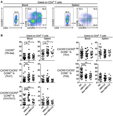 Hyperactive Follicular Helper T Cells Contribute to Dysregulated Humoral Immunity in Patients With Liver Cirrhosis